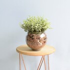 Arranjo De Folhagem Eucalipto Artificial No Vaso De Vidro | F